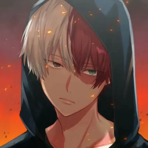 creator ✨❤️Shoto❤️✨'s avatar