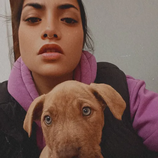 talkie's author avatar