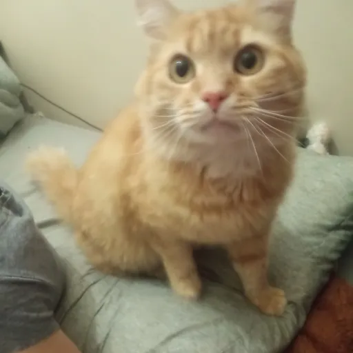 creator Tigercarlover123's avatar