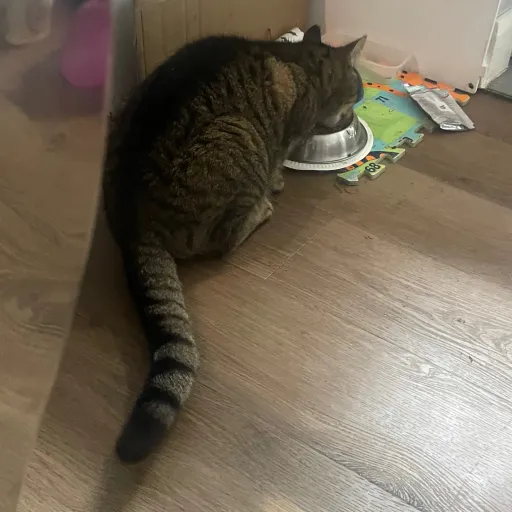 creator Naeyonnnn's avatar