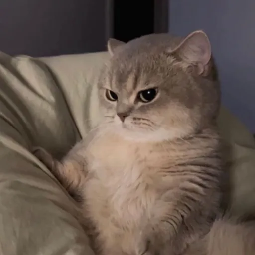 creator danny_1389's avatar