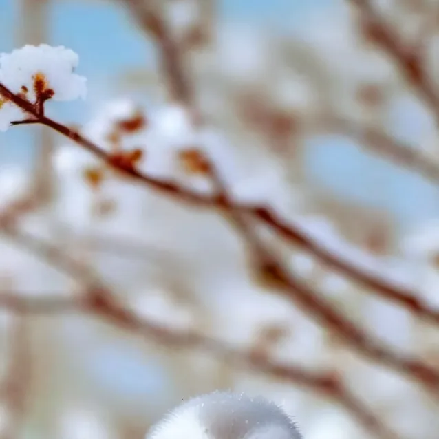 chat with ai character: Ria♡