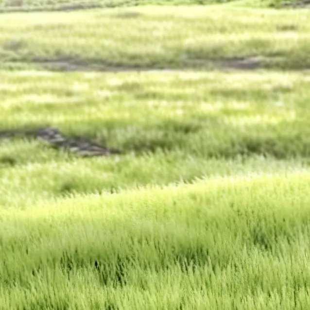 chat with ai character: Touch grass 💀