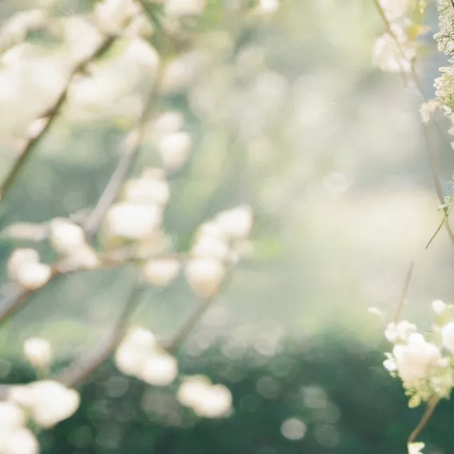 chat with ai character: Song Bo Ra