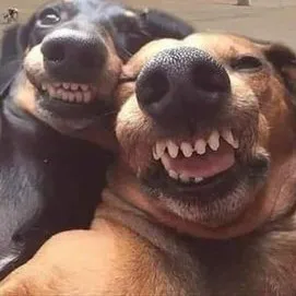 creator I'll.Eat.your.toes's avatar