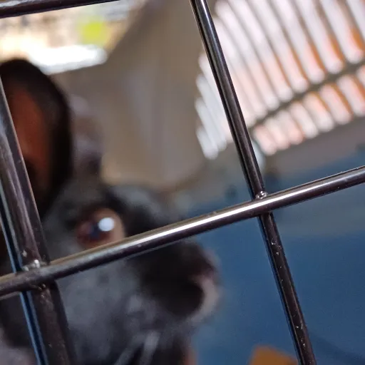 creator StarlaMae's avatar