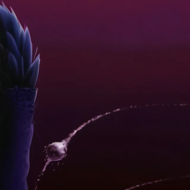 chat with ai character: CatNap