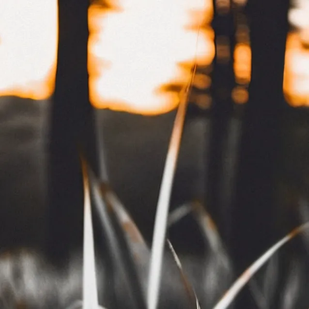 chat with ai character: Grass