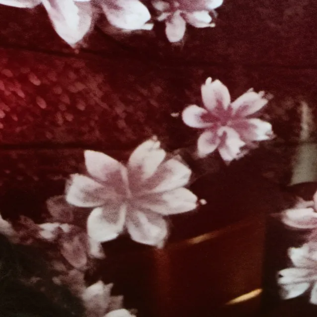 chat with ai character: lucy