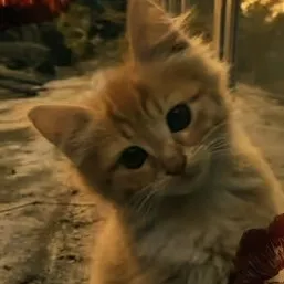 creator Sam_lovwstoRostAI!'s avatar