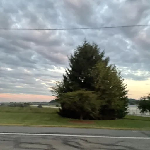 creator Zora:)'s avatar