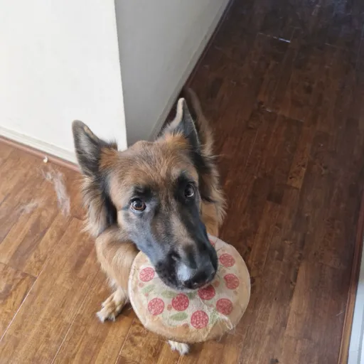 creator Kenji Kaneki🇯🇵's avatar