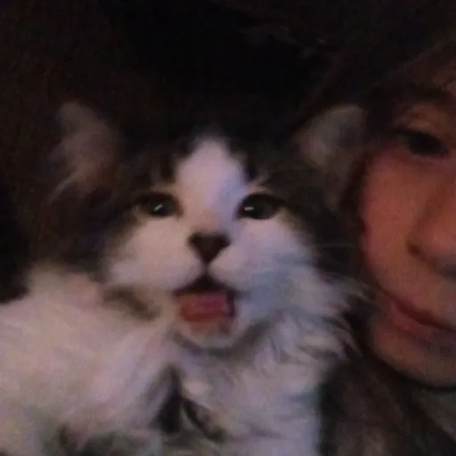 creator bakugosimp4life's avatar