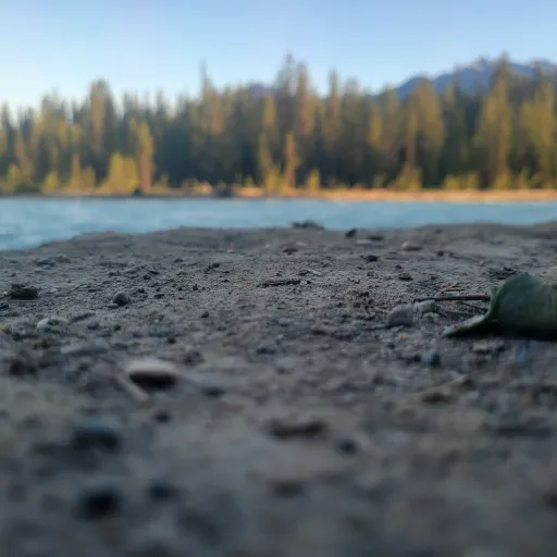 creator nico god's avatar