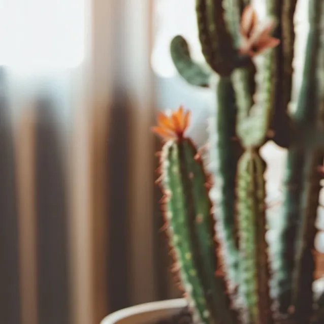 chat with ai character: Snake& Cactus song