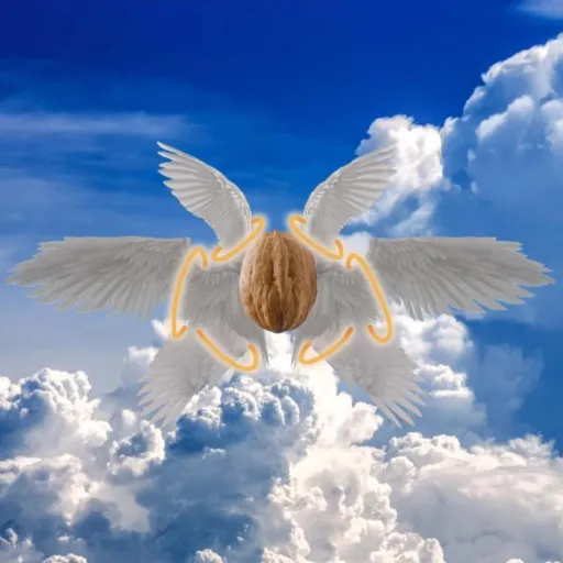 creator WTH!?'s avatar