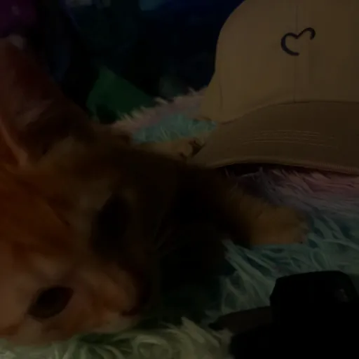 creator Axel''s avatar