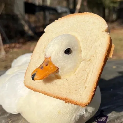 creator Jinx River's avatar