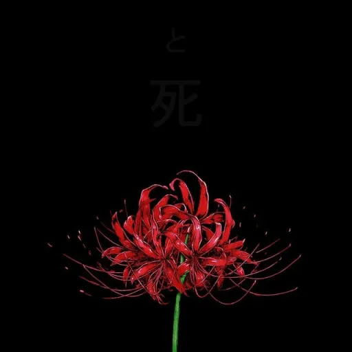 creator LoverPheonix's avatar