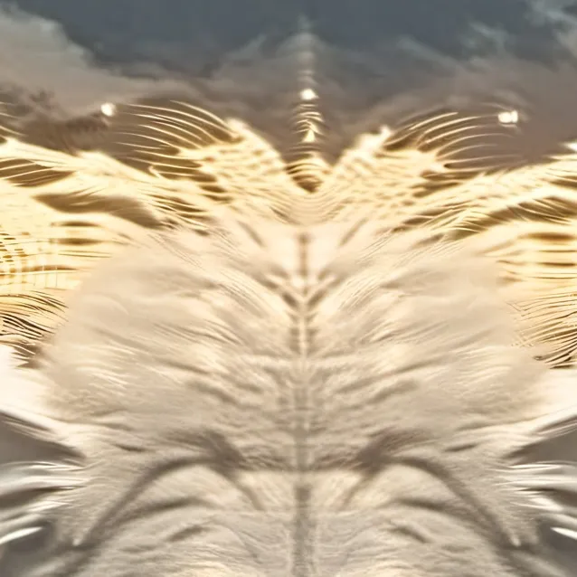 chat with ai character: just spam text