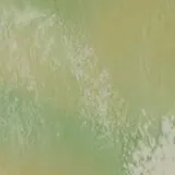 creator Mustbehumming's avatar