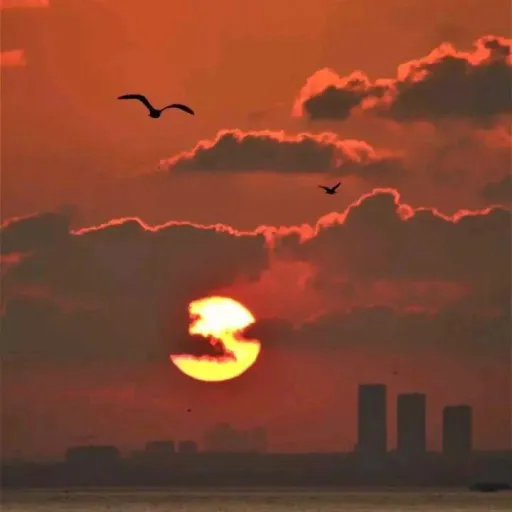 creator bella_rossel's avatar