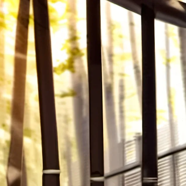 chat with ai character: panda