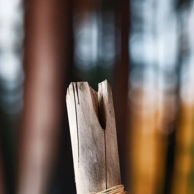 chat with ai character: Stick. 