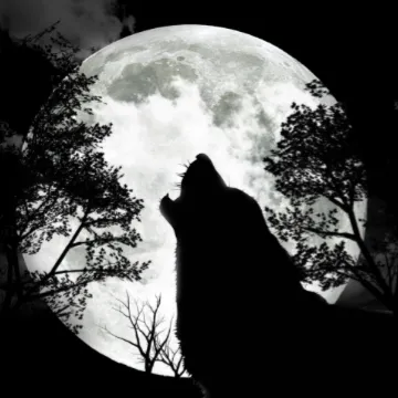 creator Wolf_lover1's avatar