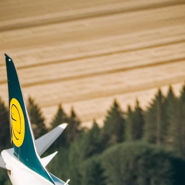 chat with ai character: 737