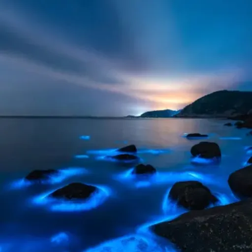 creator DIE_NYX's avatar