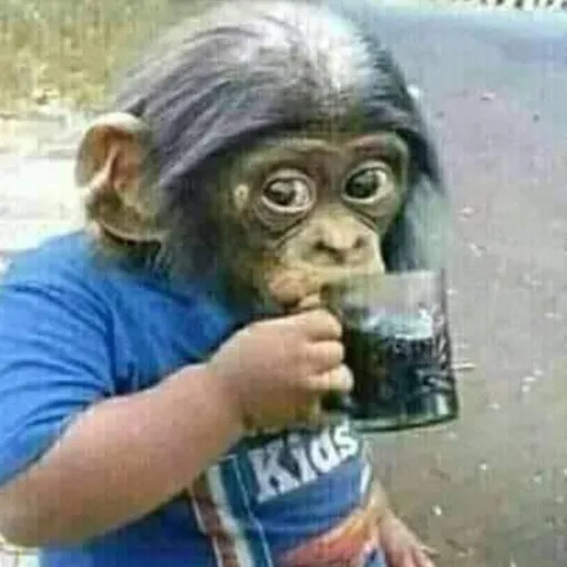 creator Drinking Monke's avatar