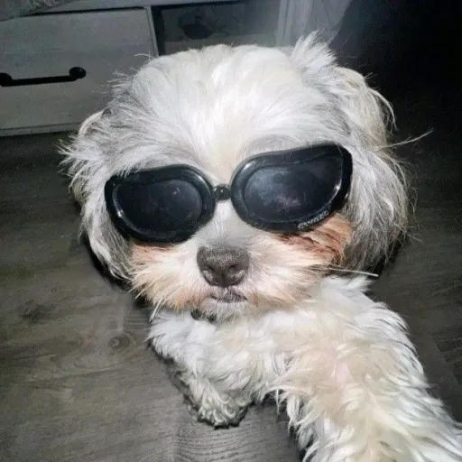 creator lacresha's avatar