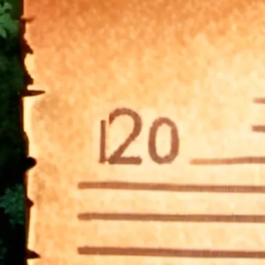 chat with ai character: School fit comment