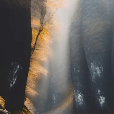 chat with ai character: Self love river