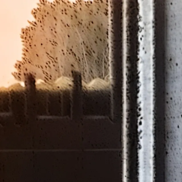 chat with ai character: Chucky