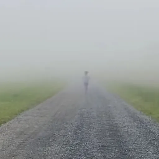 creator •GASLIGHTING•'s avatar