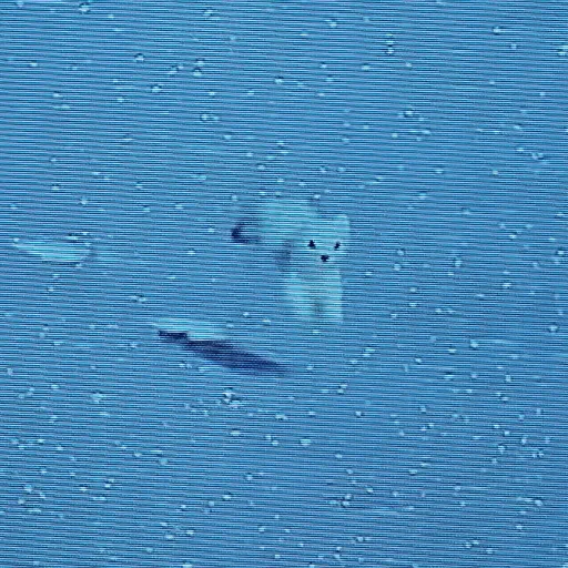 creator Nigel ..'s avatar