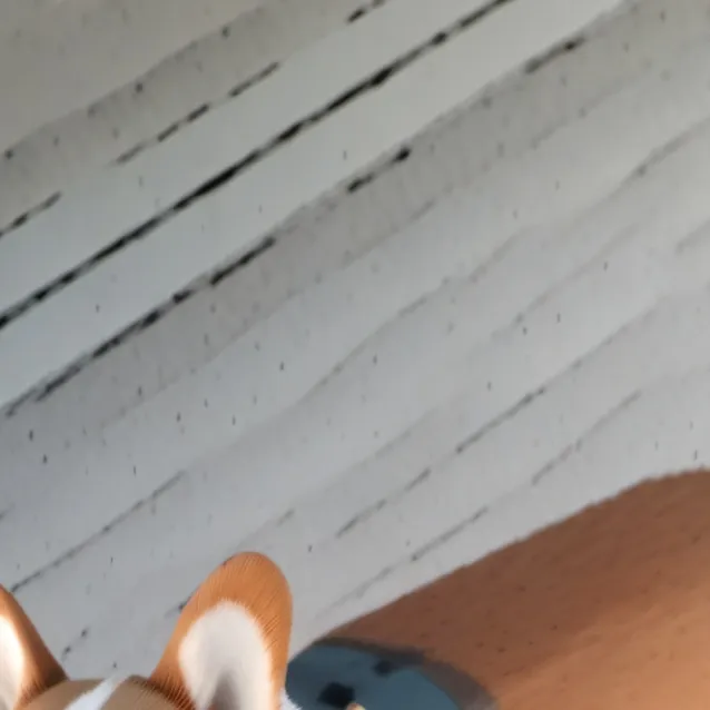 chat with ai character: Ellie