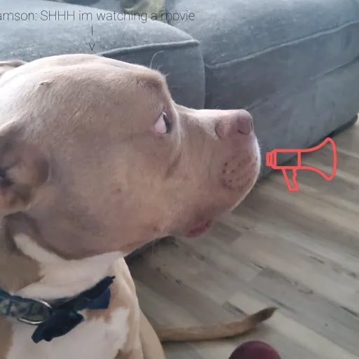 creator Talkior-df03jivY's avatar