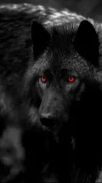 ai character: Past Wolf-ler background