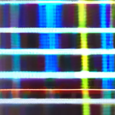 chat with ai character: Mario mx 