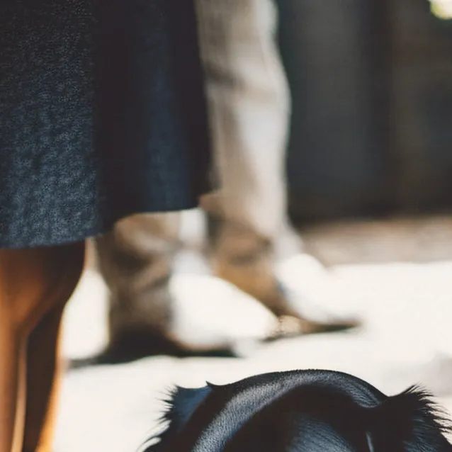 chat with ai character: Leo