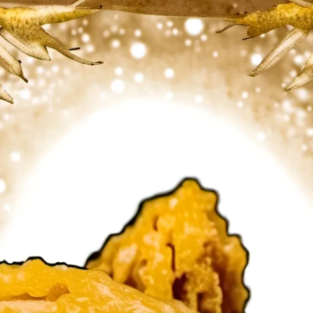 chat with ai character: Gdagdigdagdo