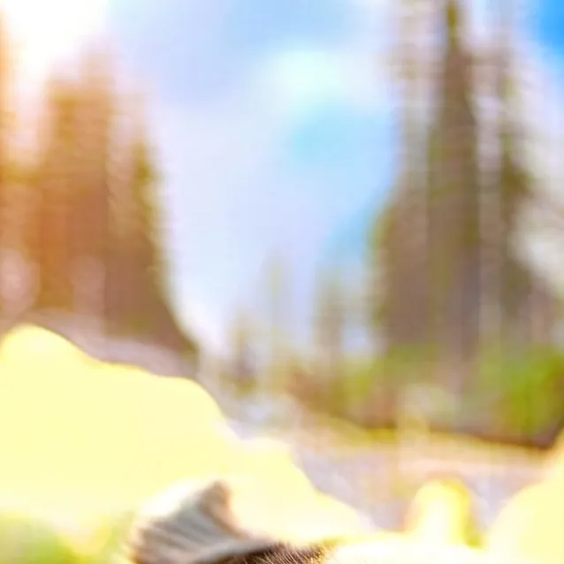 chat with ai character: Gorilla tag