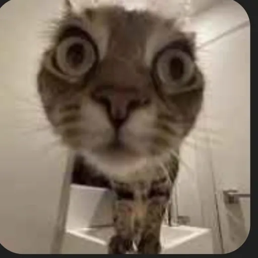 creator ✨Kuroo✨️'s avatar