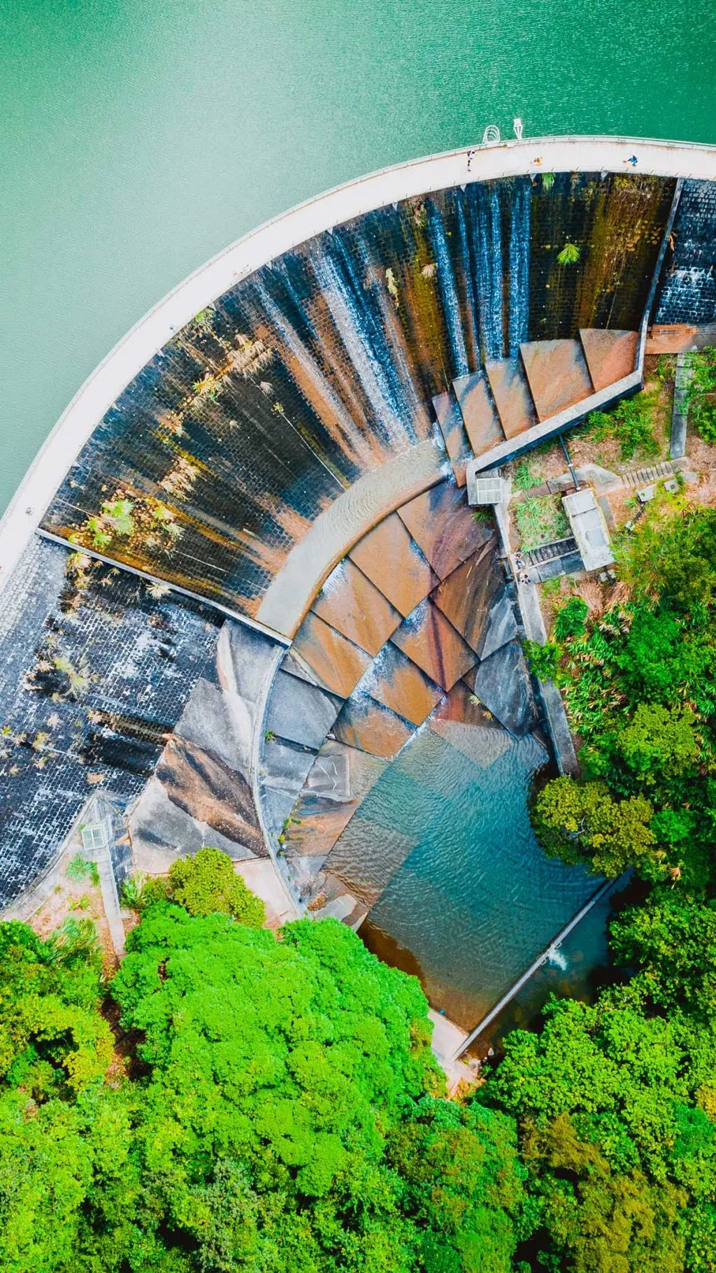 ai character: Daybreak Crushes background