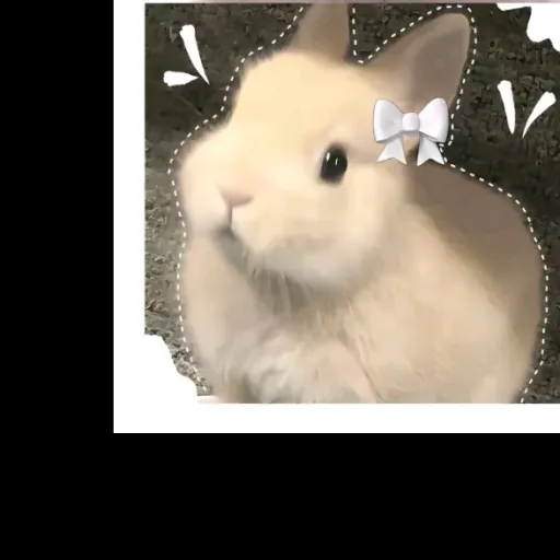 creator straykids 1 fan's avatar