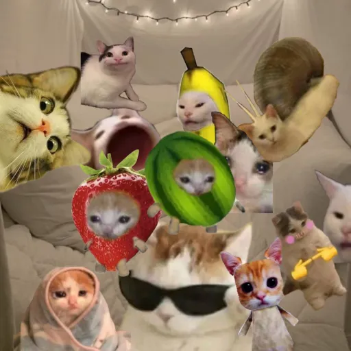 creator S+L+r-a=love's avatar