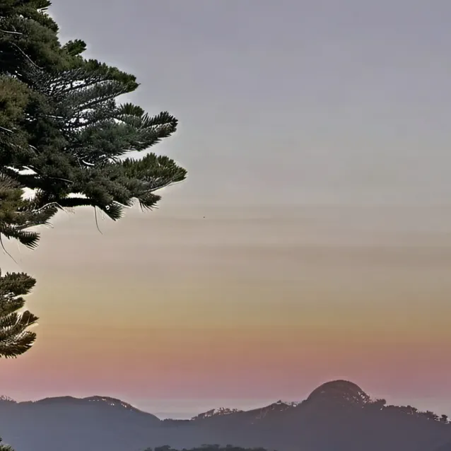 chat with ai character: TOKITO Muichiro